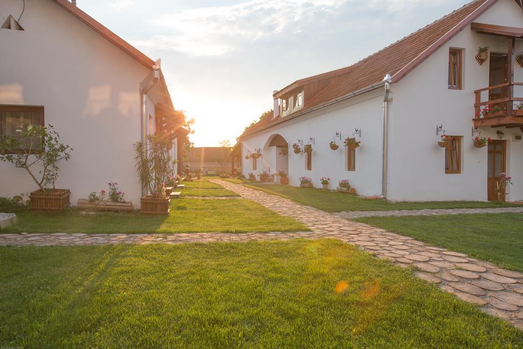 Pensiunea Casa Canda Salasu de Sus Zewnętrze zdjęcie
