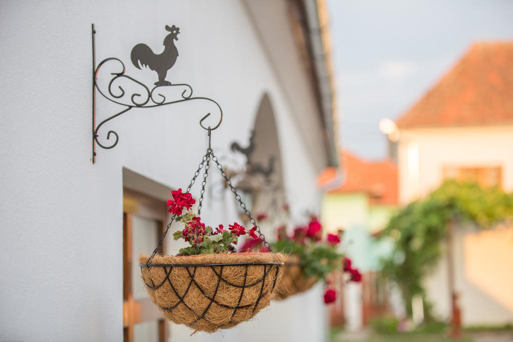 Pensiunea Casa Canda Salasu de Sus Zewnętrze zdjęcie