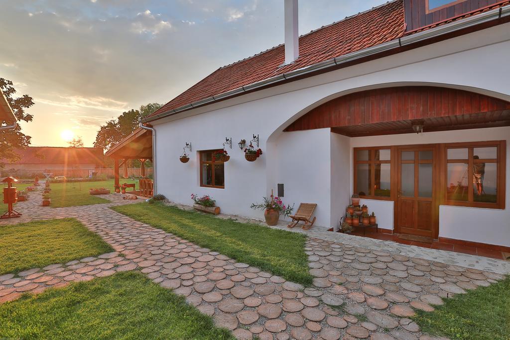 Pensiunea Casa Canda Salasu de Sus Zewnętrze zdjęcie
