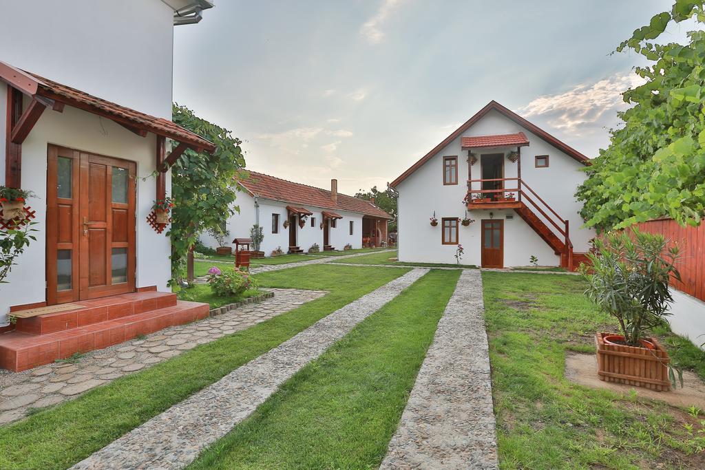 Pensiunea Casa Canda Salasu de Sus Zewnętrze zdjęcie